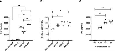 Combined regulation of pro-inflammatory cytokines production by STAT3 and STAT5 in a model of B. pertussis infection of alveolar macrophages